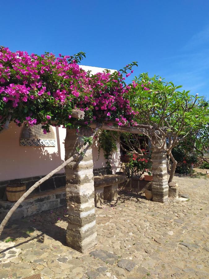 Agriturismo Hibiscus Villa Isola di Ustica Exterior photo